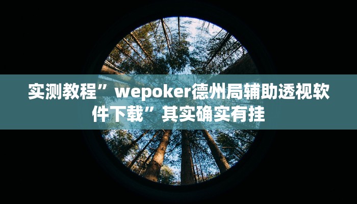 实测教程”wepoker德州局辅助透视软件下载”其实确实有挂