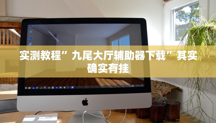 实测教程”九尾大厅辅助器下载”其实确实有挂
