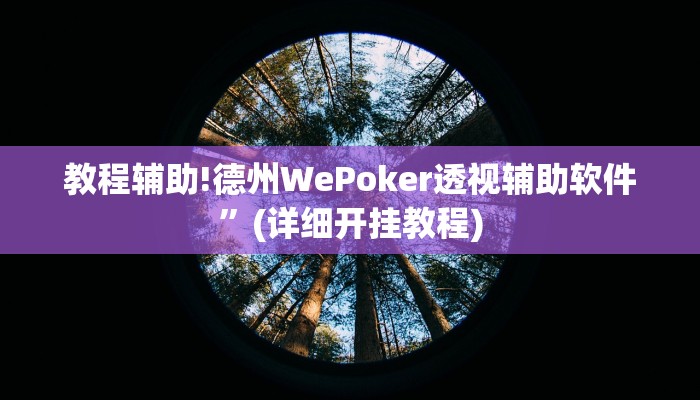 教程辅助!德州WePoker透视辅助软件”(详细开挂教程)