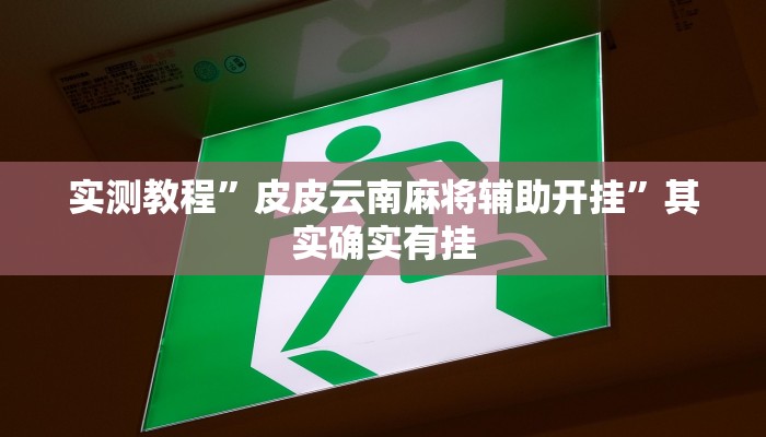 实测教程”皮皮云南麻将辅助开挂”其实确实有挂