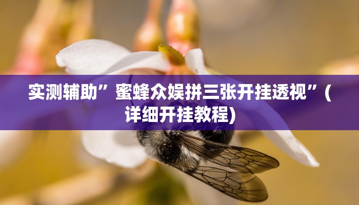 实测辅助”蜜蜂众娱拼三张开挂透视”(详细开挂教程)
