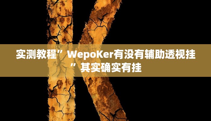 实测教程”WepoKer有没有辅助透视挂”其实确实有挂