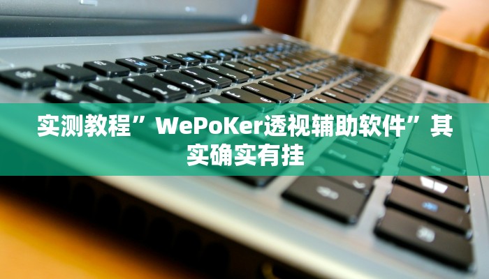实测教程”WePoKer透视辅助软件”其实确实有挂