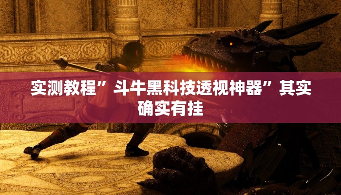 实测教程”斗牛黑科技透视神器”其实确实有挂