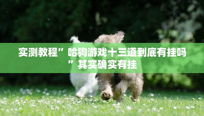 实测教程”哈狗游戏十三道到底有挂吗”其实确实有挂