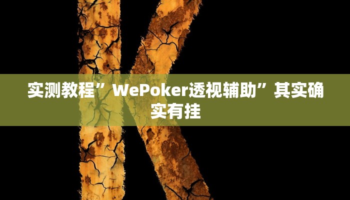 实测教程”WePoker透视辅助”其实确实有挂