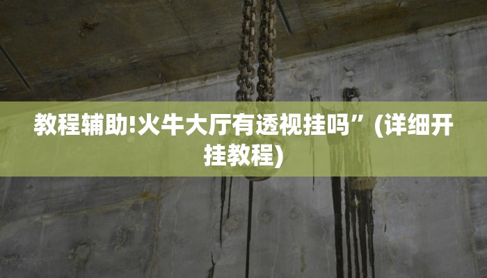 教程辅助!火牛大厅有透视挂吗”(详细开挂教程)