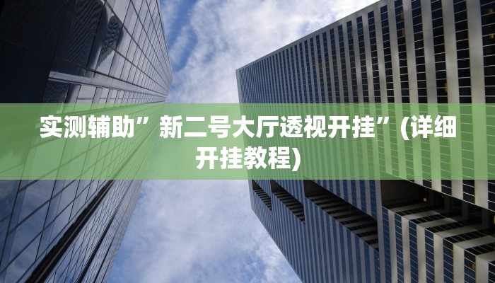 实测辅助”新二号大厅透视开挂”(详细开挂教程)