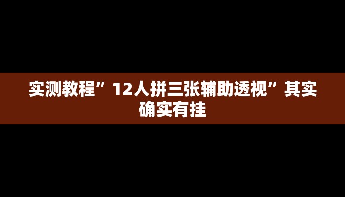 实测教程”12人拼三张辅助透视”其实确实有挂