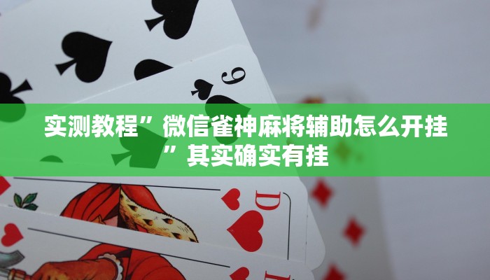 实测教程”微信雀神麻将辅助怎么开挂”其实确实有挂