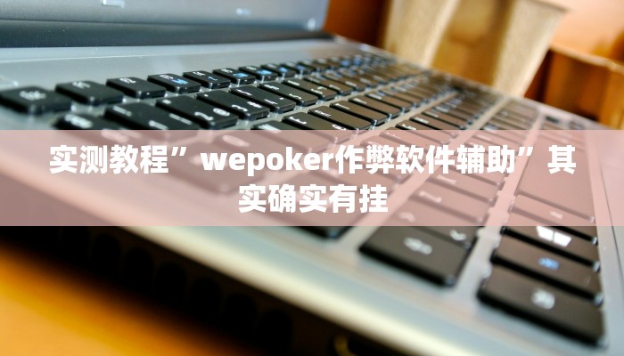 实测教程”wepoker作弊软件辅助”其实确实有挂