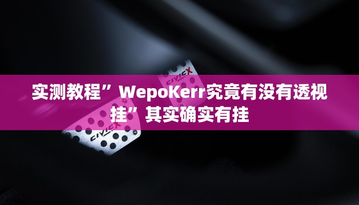实测教程”WepoKerr究竟有没有透视挂”其实确实有挂