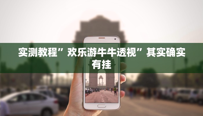 实测教程”欢乐游牛牛透视”其实确实有挂