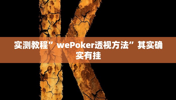 实测教程”wePoker透视方法”其实确实有挂
