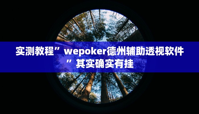 实测教程”wepoker德州辅助透视软件”其实确实有挂