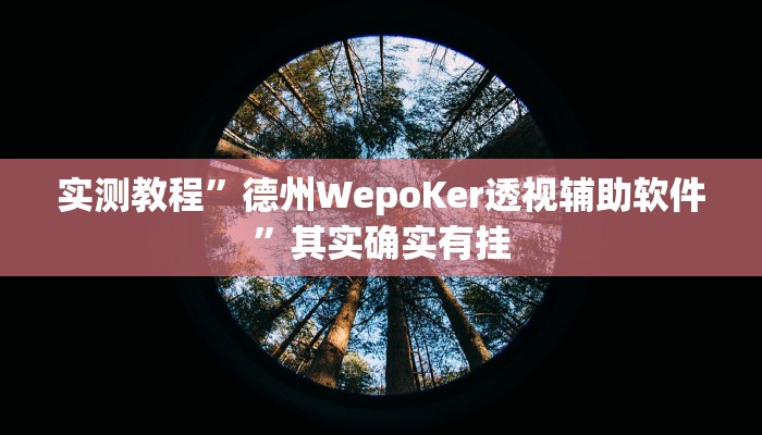 实测教程”德州WepoKer透视辅助软件”其实确实有挂