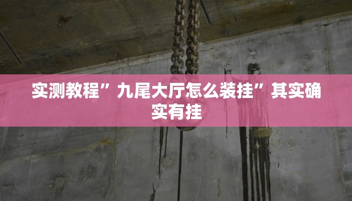 实测教程”九尾大厅怎么装挂”其实确实有挂