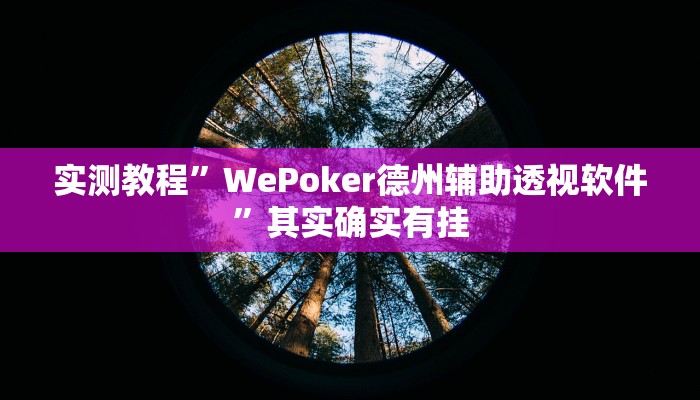 实测教程”WePoker德州辅助透视软件”其实确实有挂