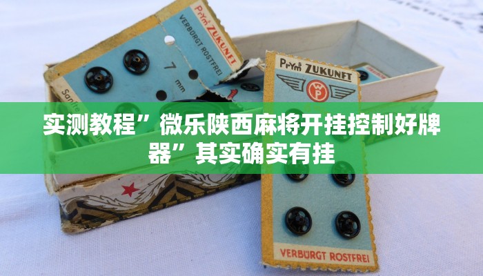 实测辅助”畅玩十三张是不是有挂”(详细开挂教程)