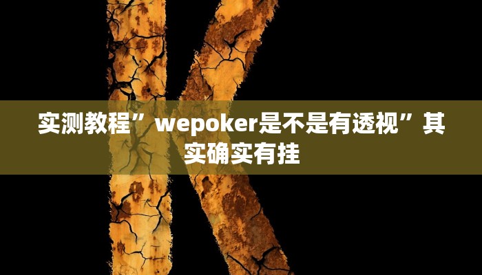 实测教程”wepoker是不是有透视”其实确实有挂