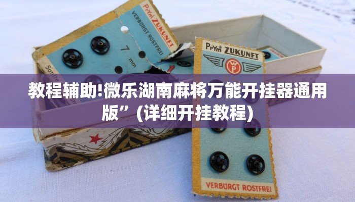 教程辅助!闲逸碰胡开挂神器”(详细开挂教程)