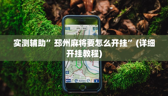 实测辅助”邳州麻将要怎么开挂”(详细开挂教程)