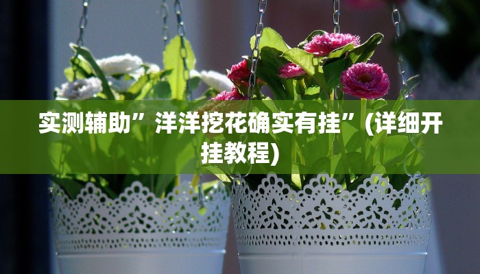 实测辅助”洋洋挖花确实有挂”(详细开挂教程)
