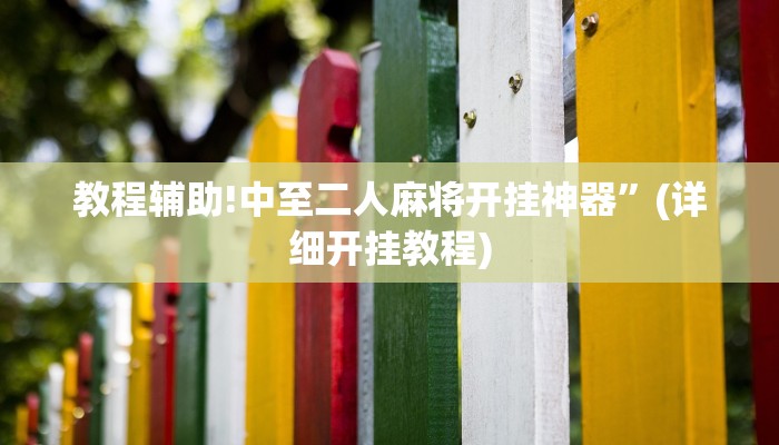 教程辅助!中至二人麻将开挂神器”(详细开挂教程)
