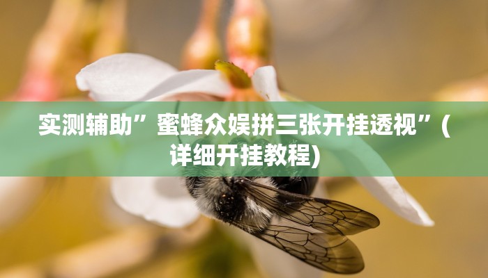 实测辅助”蜜蜂众娱拼三张开挂透视”(详细开挂教程)