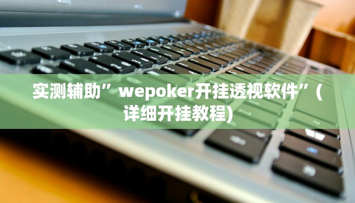 实测辅助”wepoker开挂透视软件”(详细开挂教程)
