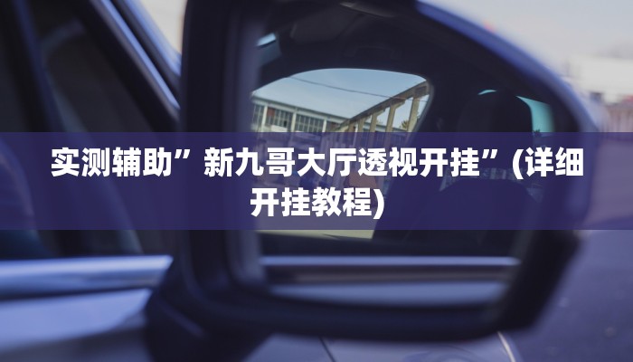 实测辅助”新九哥大厅透视开挂”(详细开挂教程)