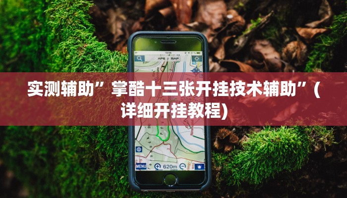 实测辅助”掌酷十三张开挂技术辅助”(详细开挂教程)