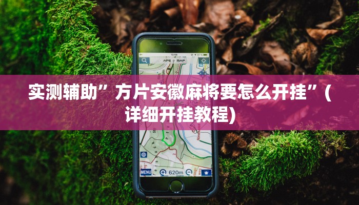 实测辅助”方片安徽麻将要怎么开挂”(详细开挂教程)