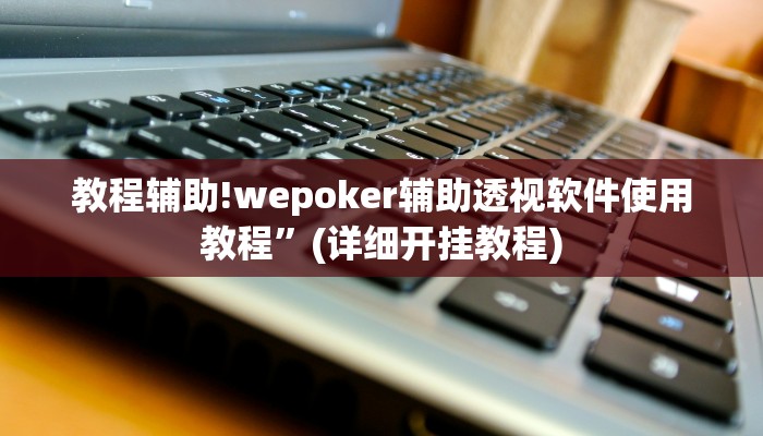教程辅助!wepoker辅助透视软件使用教程”(详细开挂教程)
