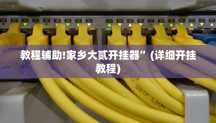教程辅助!家乡大贰开挂器”(详细开挂教程)