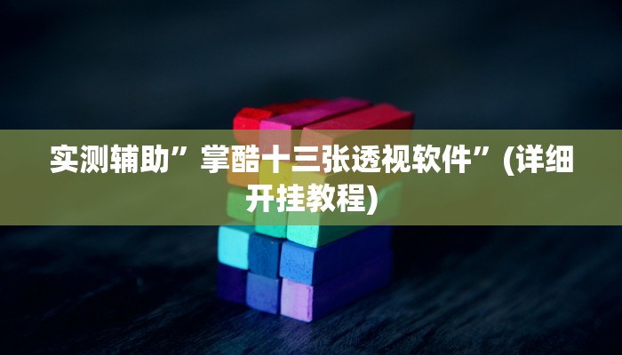 实测辅助”掌酷十三张透视软件”(详细开挂教程)