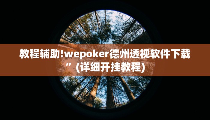 教程辅助!wepoker德州透视软件下载”(详细开挂教程)