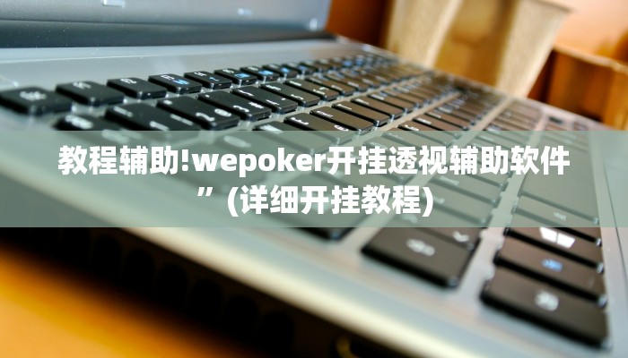 教程辅助!wepoker开挂透视辅助软件”(详细开挂教程)