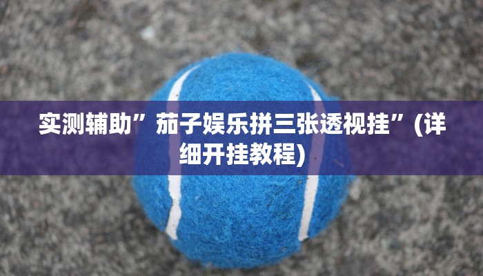 实测辅助”长乐互娱辅助软件”(详细开挂教程)