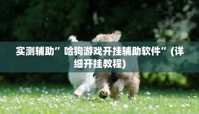 实测辅助”哈狗游戏开挂辅助软件”(详细开挂教程)