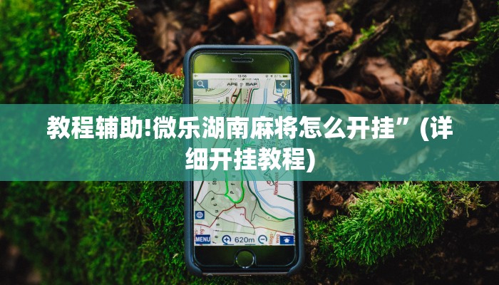 教程辅助!微乐湖南麻将怎么开挂”(详细开挂教程)