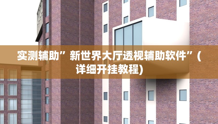 实测辅助”新世界大厅透视辅助软件”(详细开挂教程)