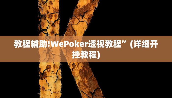 教程辅助!WePoker透视教程”(详细开挂教程)