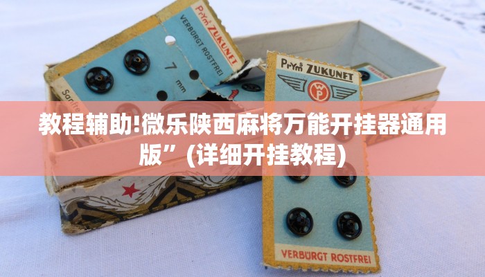 教程辅助!微乐陕西麻将万能开挂器通用版”(详细开挂教程)