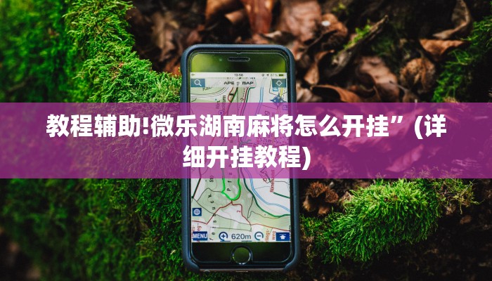 教程辅助!微乐湖南麻将怎么开挂”(详细开挂教程)