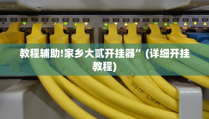 教程辅助!家乡大贰开挂器”(详细开挂教程)