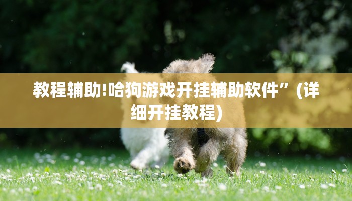 教程辅助!哈狗游戏开挂辅助软件”(详细开挂教程)