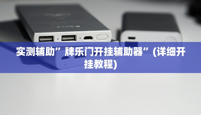 实测辅助”牌乐门开挂辅助器”(详细开挂教程)