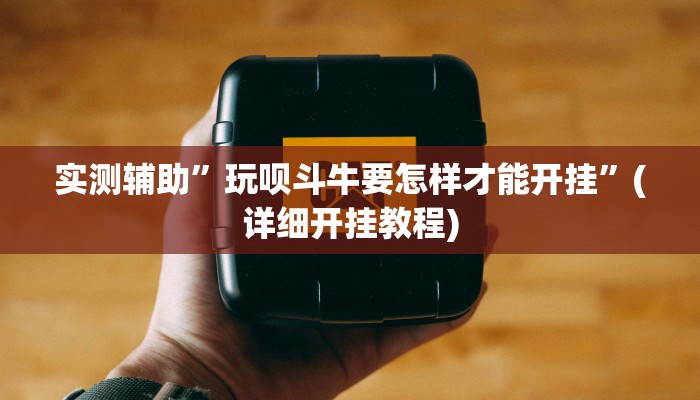实测辅助”玩呗斗牛要怎样才能开挂”(详细开挂教程)