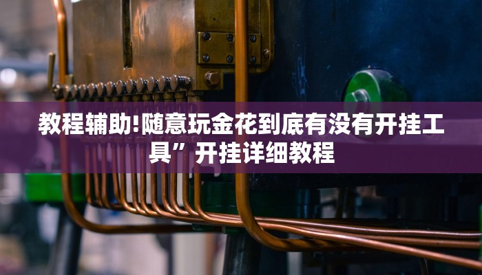 教程辅助!随意玩金花到底有没有开挂工具”开挂详细教程